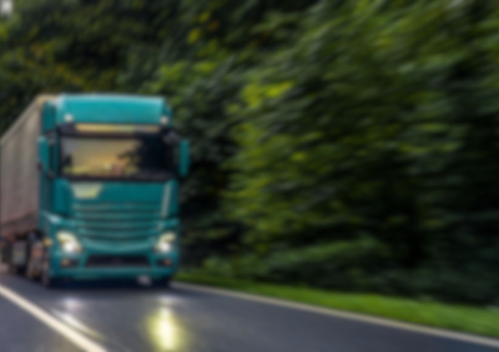 forest road background